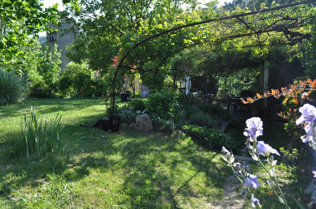 La Ribeyrette Bed and Breakfast Chamborigaud Εξωτερικό φωτογραφία